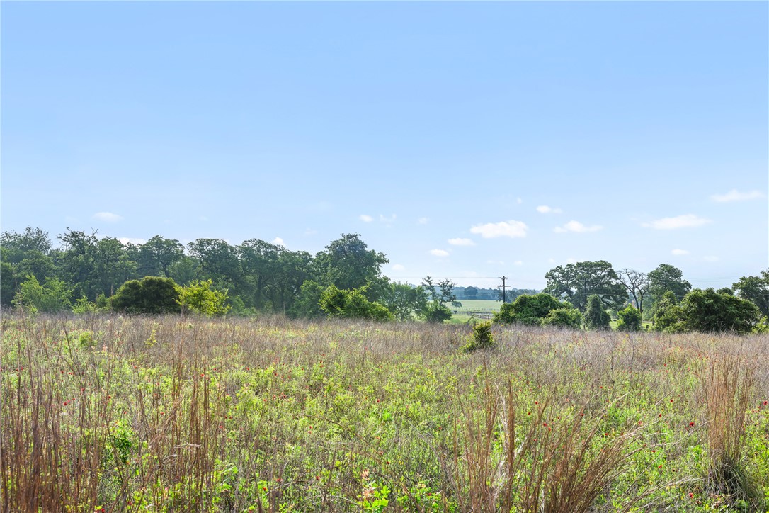 5241 County Road 358