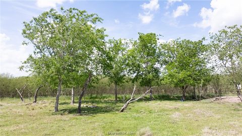 Tiny photo for 6981 County Road 108, Iola, TX 77861 (MLS # 26004176)