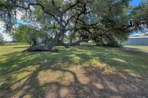 Tiny photo for 6171 Mount Vernon Road, Brenham, TX 77833 (MLS # 26011765)