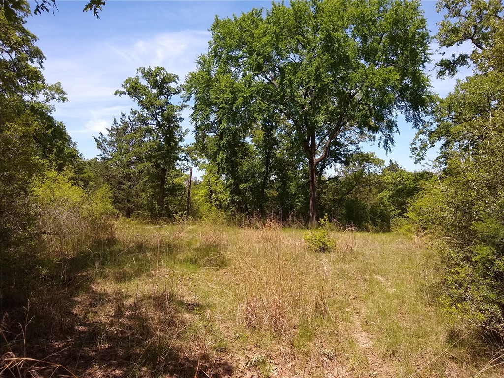 Lot 7 Ranch Road Dr.