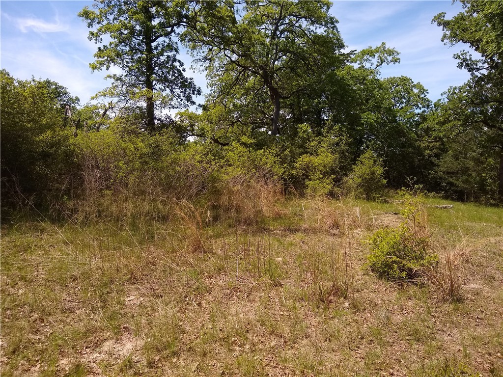 Lot 7 Ranch Road Dr.