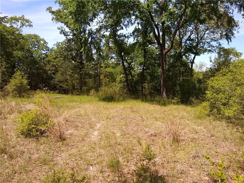 Lot 7 Ranch Road Dr.