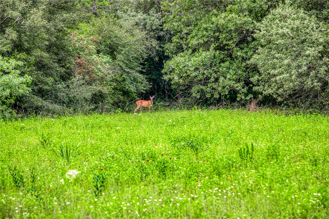 2330 County Road 329