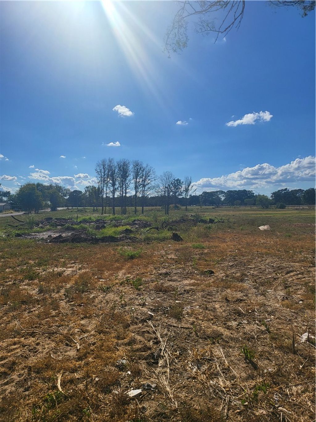 Photo of 233 County Road 122 CountyRoad, Caldwell, TX 77836 (MLS # 25011005)