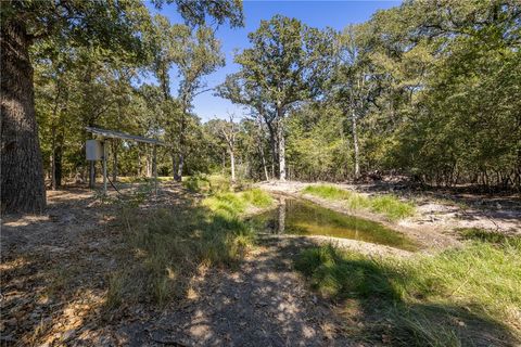Tiny photo for 2324 County Road 353, Gause, TX 77857 (MLS # 25012793)