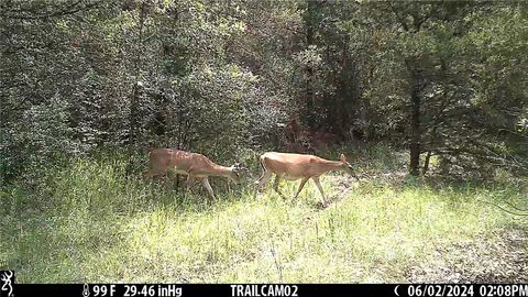 Tiny photo for 2324 County Road 353, Gause, TX 77857 (MLS # 25012793)