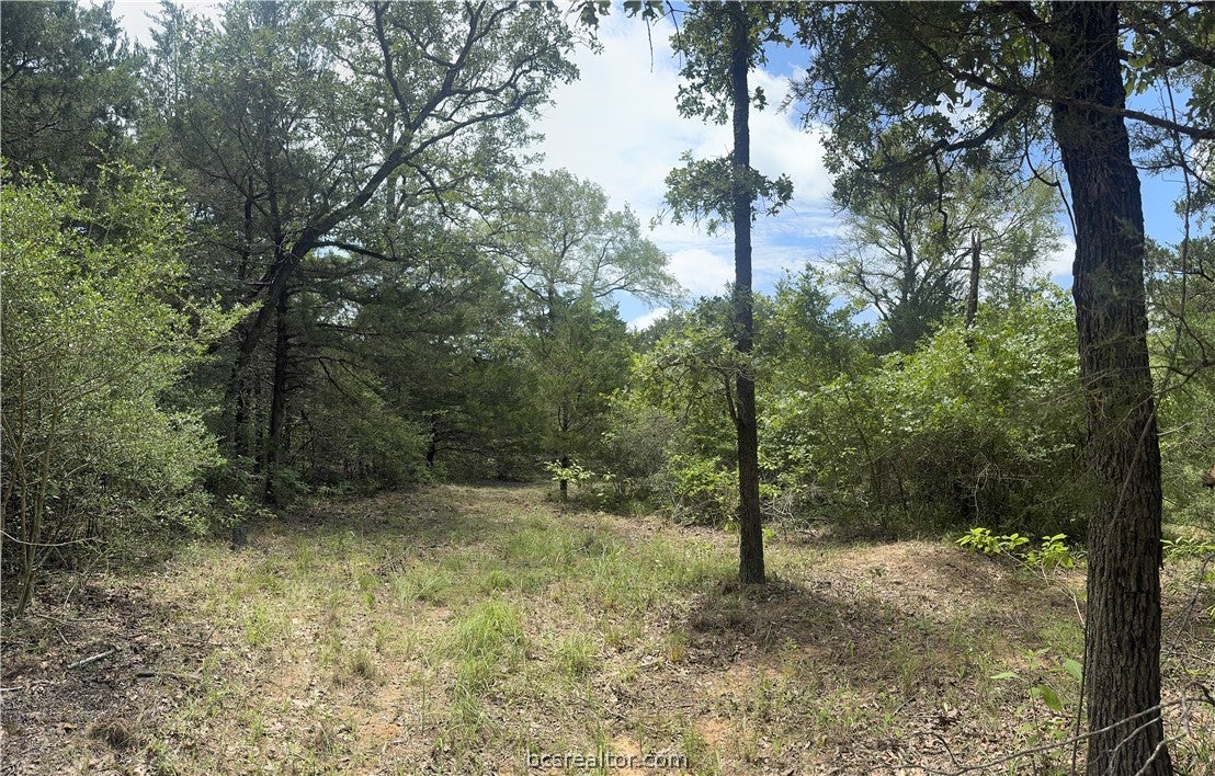 3518 Winding Road