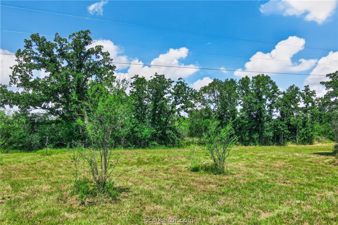 12907 County Road 164