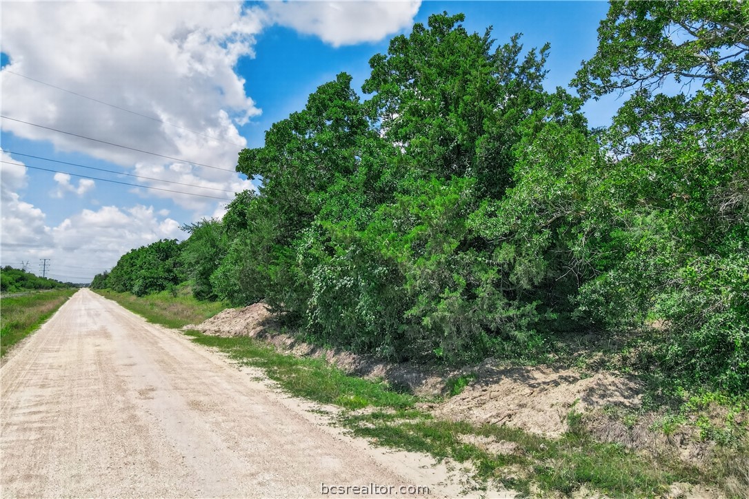 12907 County Road 164