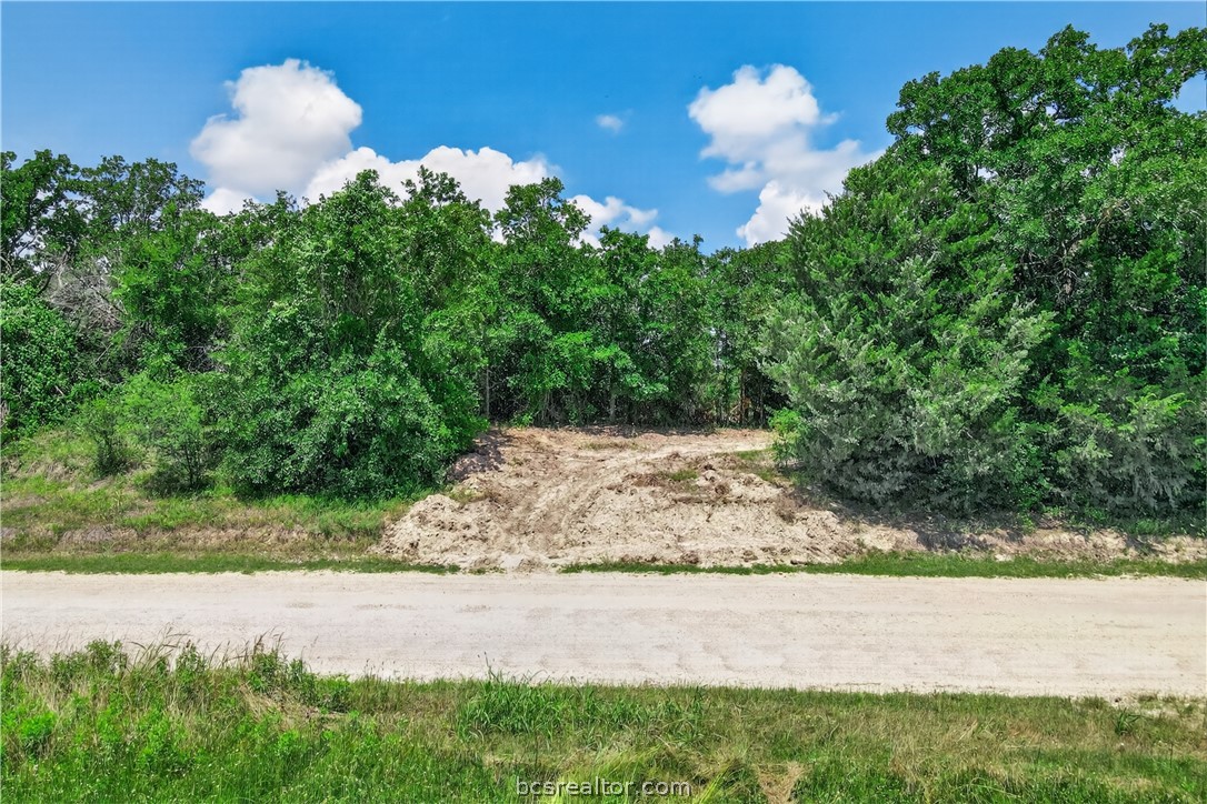 12907 County Road 164