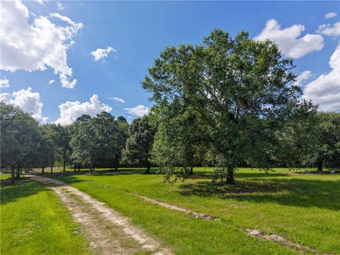 Tiny photo for 2092 FM 1486, Anderson, TX 77830 (MLS # 26007120)