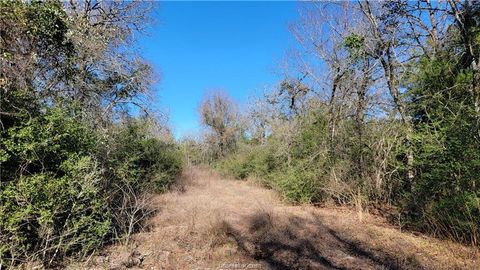 Tiny photo for 23 High Meadow Trail, Franklin, TX 77856 (MLS # 26001916)