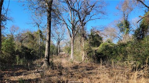 Tiny photo for 23 High Meadow Trail, Franklin, TX 77856 (MLS # 26001916)