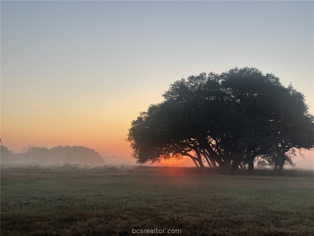 0 County Road 19
