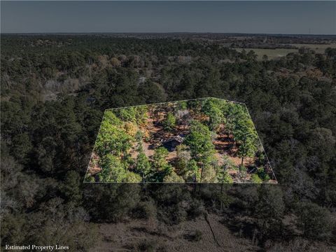 Tiny photo for 10845 Deer Ridge Road, Bedias, TX 77831 (MLS # 25013112)