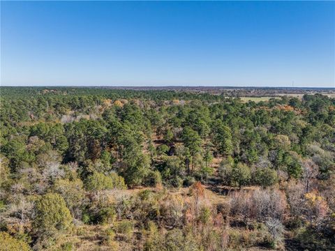 Tiny photo for 10845 Deer Ridge Road, Bedias, TX 77831 (MLS # 25013112)