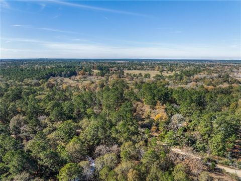 Tiny photo for 10845 Deer Ridge Road, Bedias, TX 77831 (MLS # 25013112)