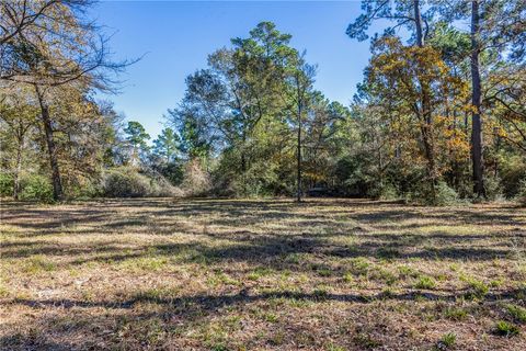 Tiny photo for 10845 Deer Ridge Road, Bedias, TX 77831 (MLS # 25013112)