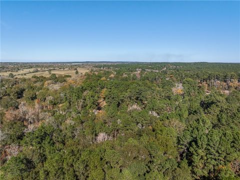Tiny photo for 10845 Deer Ridge Road, Bedias, TX 77831 (MLS # 25013112)