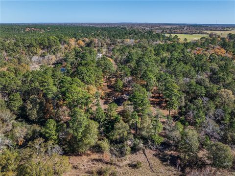 Tiny photo for 10845 Deer Ridge Road, Bedias, TX 77831 (MLS # 25013112)