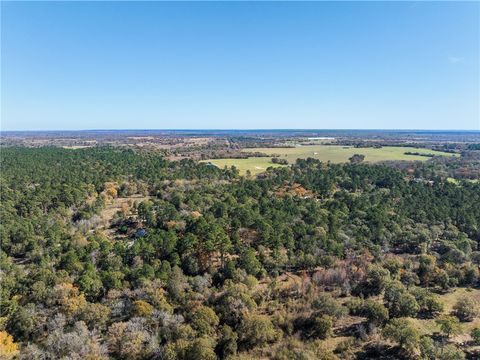 Tiny photo for 10845 Deer Ridge Road, Bedias, TX 77831 (MLS # 25013112)