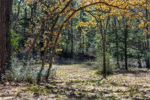 Tiny photo for 10845 Deer Ridge Road, Bedias, TX 77831 (MLS # 25013112)