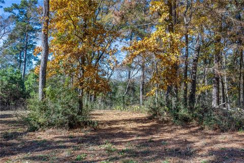 Tiny photo for 10845 Deer Ridge Road, Bedias, TX 77831 (MLS # 25013112)