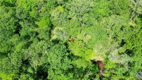 Tiny photo for 7000 FM 3060, Midway, TX 75852 (MLS # 26004630)