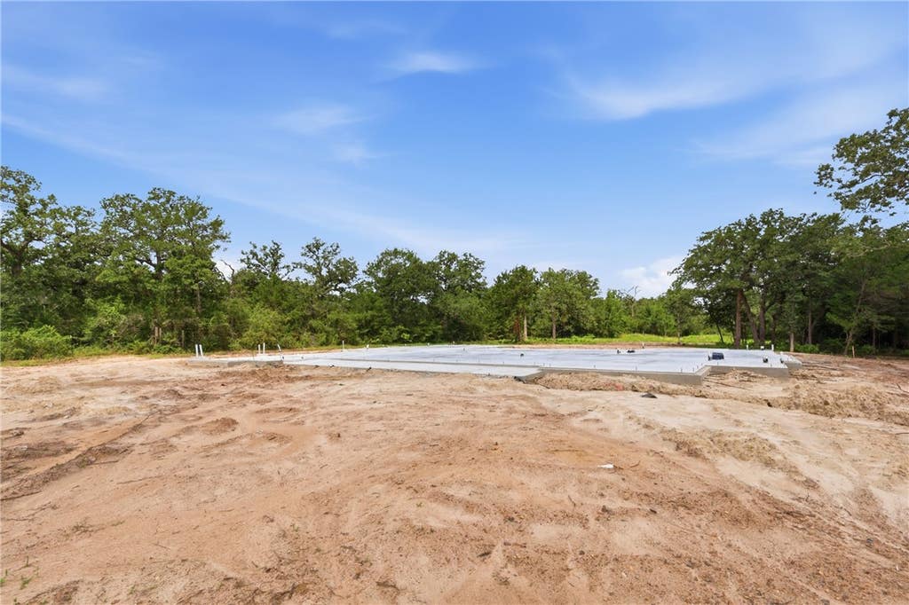 Photo of 5564 Woodland Park Drive, College Station, TX 77845 (MLS # 26007153)