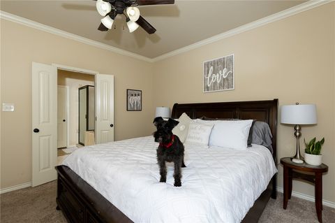 Tiny photo for 4332 Dawn Lynn Drive, College Station, TX 77845 (MLS # 25011862)