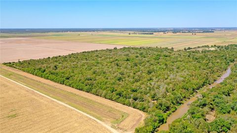 TBD County Road 443 Snook TX 77878