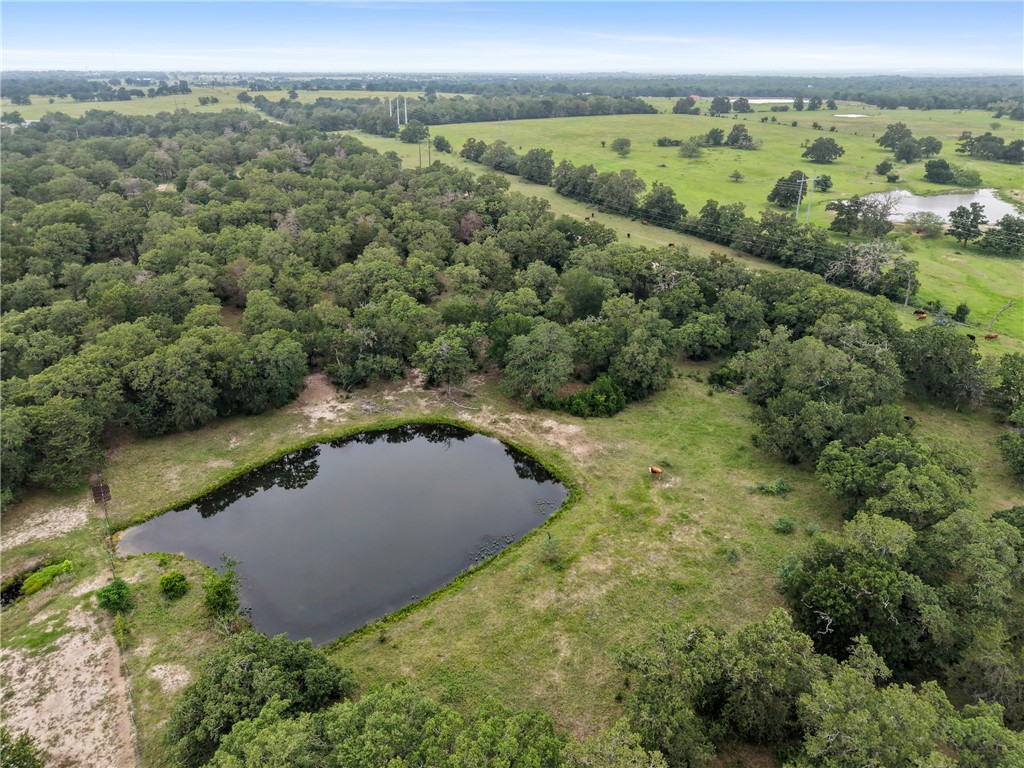 TBD County Road 423