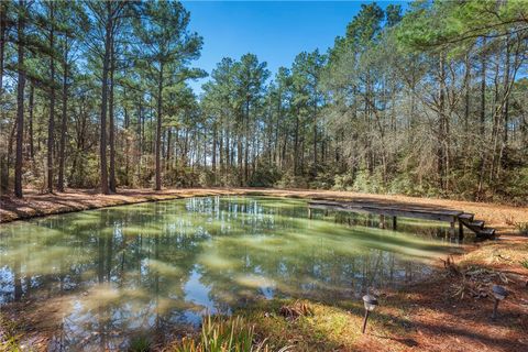 Tiny photo for 10102 Amelia Drive, Anderson, TX 77830 (MLS # 26002065)