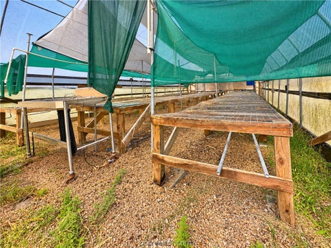 Tiny photo for 4728 Enchanted Oaks Drive, College Station, TX 77845 (MLS # 26011294)