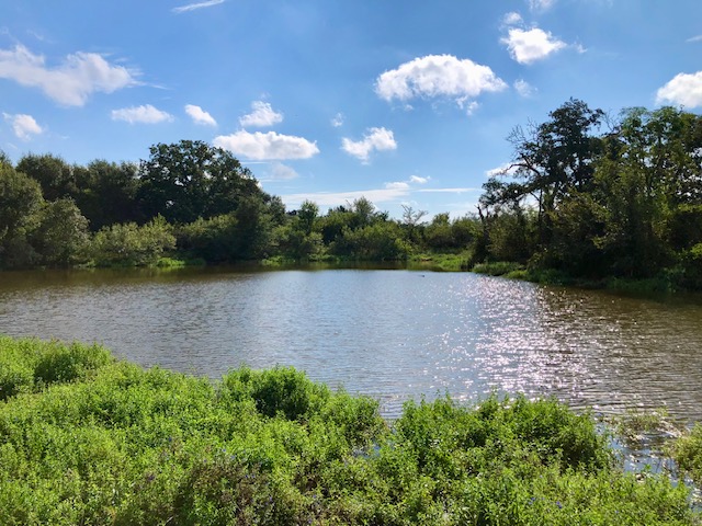TBD COUNTY ROAD 120