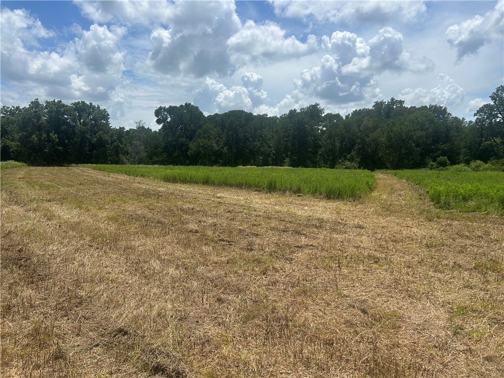 Track 4 Hudson Farms RD