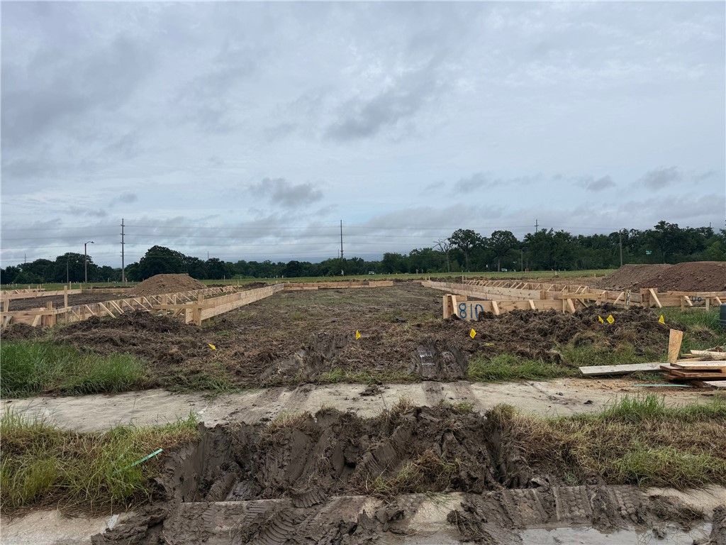 Photo of 810 Coffee Mill Lane, College Station, TX 77845 (MLS # 26005588)