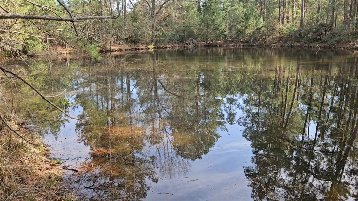 9118 Hazy Hollow Lane