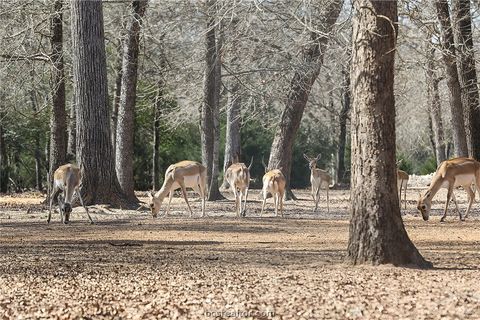 Tiny photo for 3190 FM 1361, Somerville, TX 77879 (MLS # 26001658)