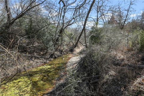 Tiny photo for 3190 FM 1361, Somerville, TX 77879 (MLS # 26001658)