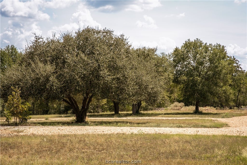 Photo of 5848 FM 180, Ledbetter, TX 78946 (MLS # 26011598)