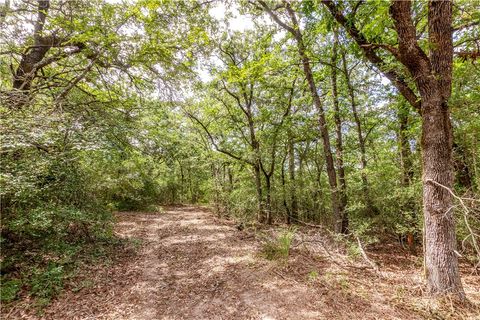 Tiny photo for 1004 22 Hills Rd St, Gause, TX 77857 (MLS # 26004498)
