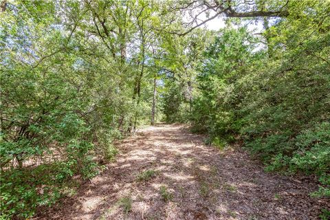 Tiny photo for 1004 22 Hills Rd St, Gause, TX 77857 (MLS # 26004498)