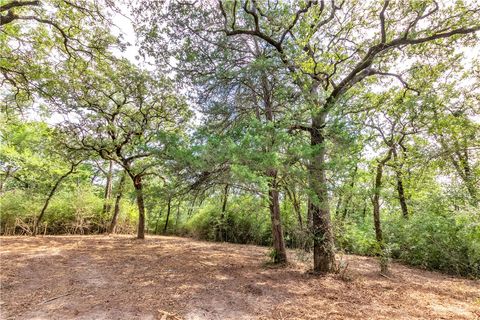 Tiny photo for 1004 22 Hills Rd St, Gause, TX 77857 (MLS # 26004498)