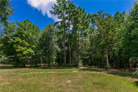 Tiny photo for 9195 County Road 207 CountyRoad, Plantersville, TX 77363 (MLS # 26009917)
