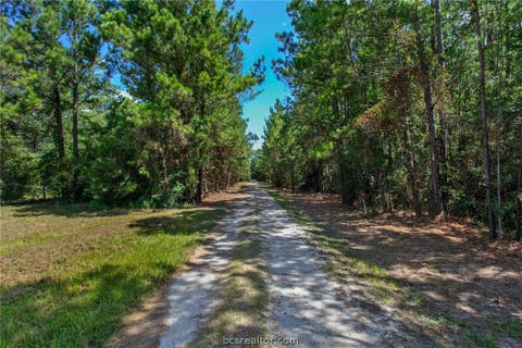 Tiny photo for 9195 County Road 207 CountyRoad, Plantersville, TX 77363 (MLS # 26009917)