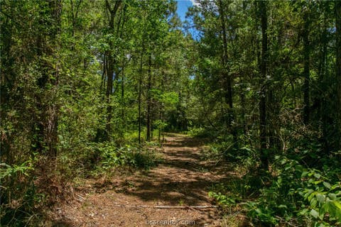 Tiny photo for 9195 County Road 207 CountyRoad, Plantersville, TX 77363 (MLS # 26009917)
