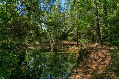 Tiny photo for 9195 County Road 207 CountyRoad, Plantersville, TX 77363 (MLS # 26009917)