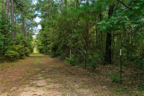Tiny photo for 9195 County Road 207 CountyRoad, Plantersville, TX 77363 (MLS # 26009917)