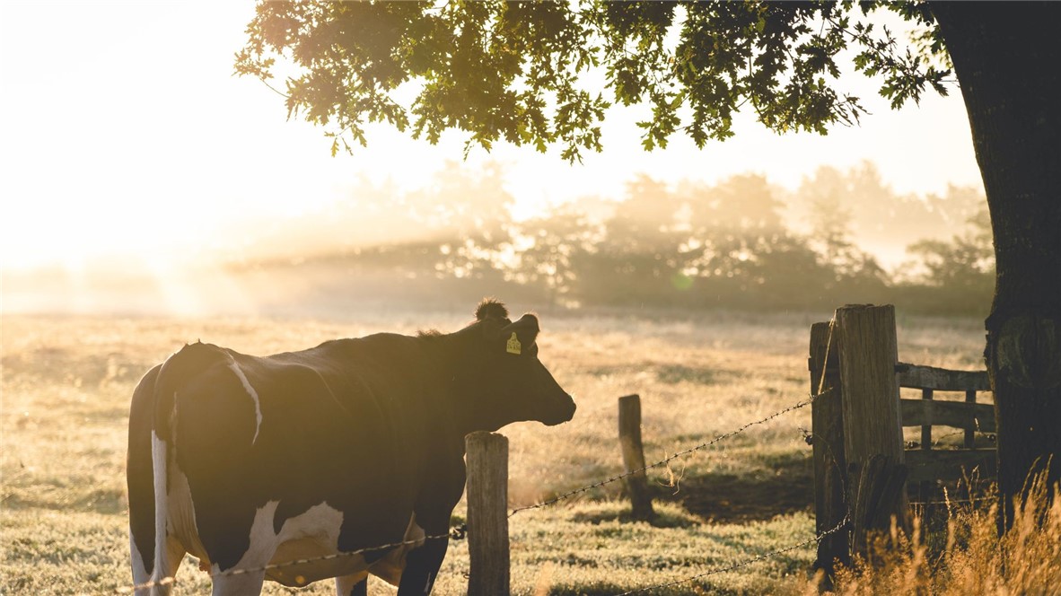 6411 Garhole View Lane